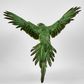 Amazonia Parrot Green