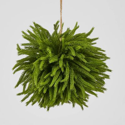 Norfolk Pine Ball Large hanging