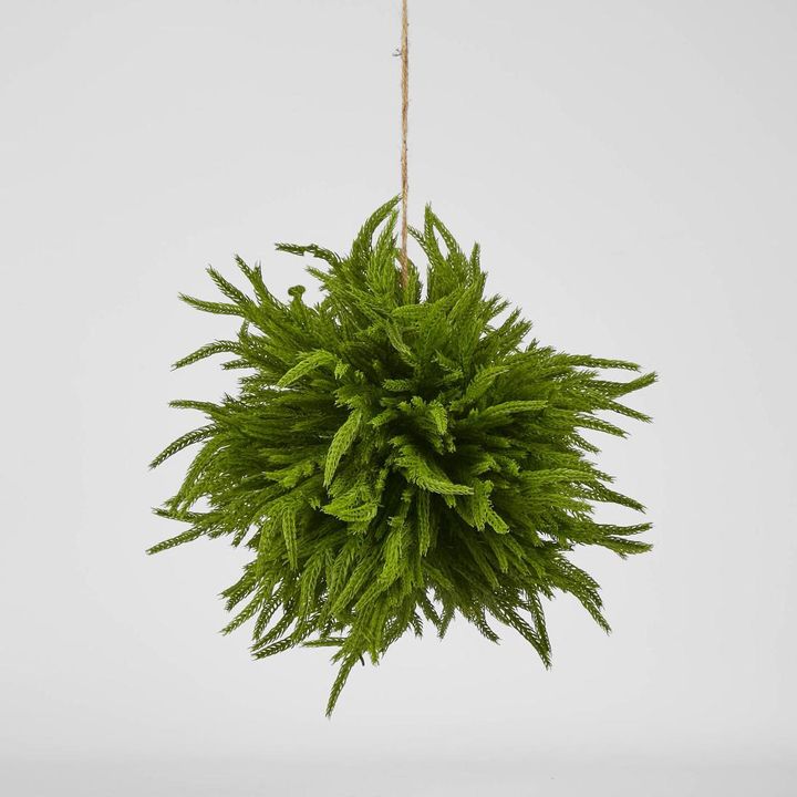 Norfolk Pine Ball Large hanging
