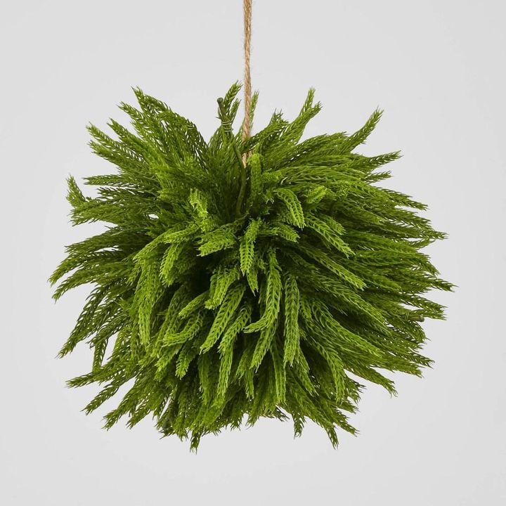 Norfolk Pine Ball Large hanging