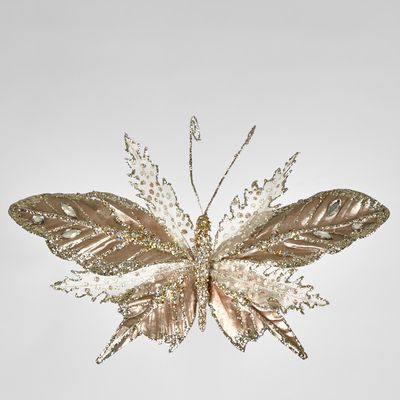 Alim Champagne Clip on Jewel Butterly