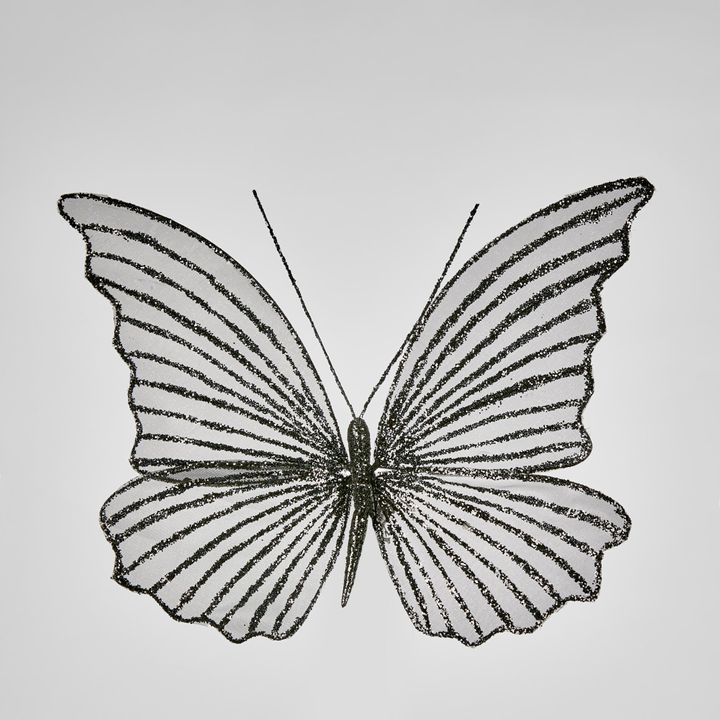 Sera Clip on Butterfly Black SML