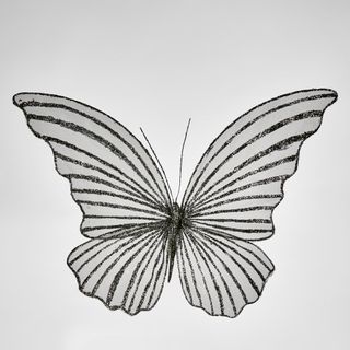 Sera Clip on Butterfly Black LGE