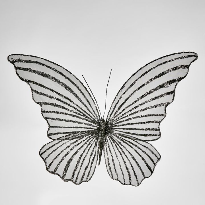 Sera Clip on Butterfly Black LGE