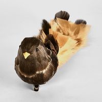 Skyle Clip on Bird Ochre