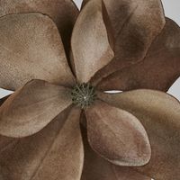 Grandiflora Clip On Velvet Magnolia Flower Brown