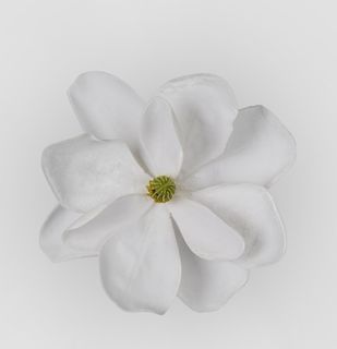 Grandiflora Clip On Velvet Magnolia Flower White