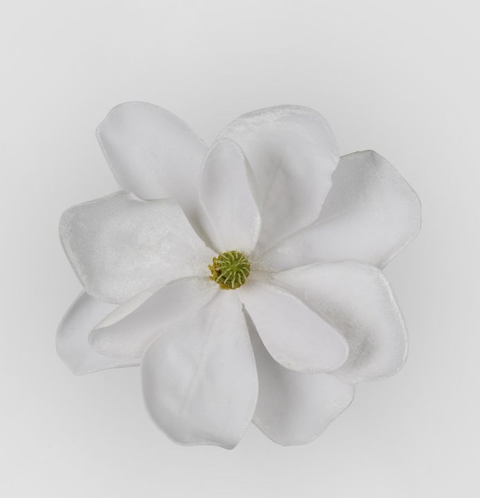 Grandiflora Clip On Velvet Magnolia Flower White