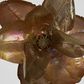 Luxe Metallic Clip On Magnolia Flower Old Gold