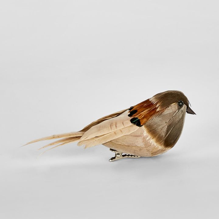 Lorri Clip on Bird Natural (Set of 6)