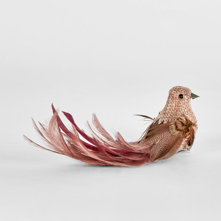 Burle Clip on Bird Pink (Set of 6)