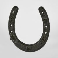 Lucky Horse Shoe!