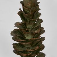 Pinecone Candle Stand SML