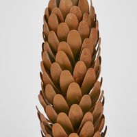 Pinecone Candle Stand 15cm