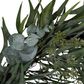 Heaton Eucalyptus Wreath Large