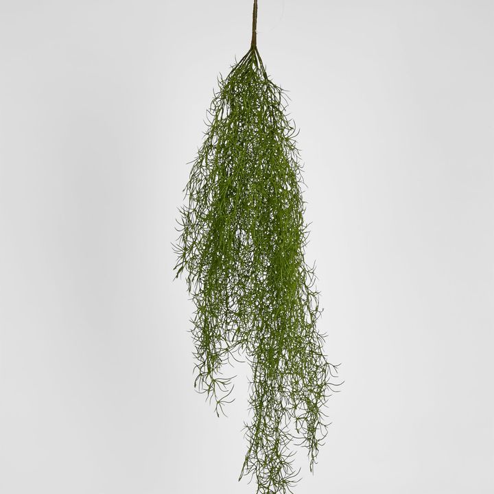Asparagus Hanging Spray 138cm