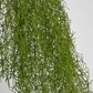 Asparagus Hanging Spray 138cm