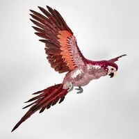 Donna!! Sequin Parrot Pink LGE