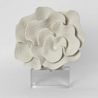 Coral On Crystal White