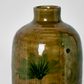 Mae Terracotta Green Medium Vase