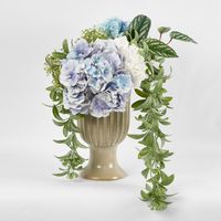 Trailing hanging Seeded Eucalyptus Bush