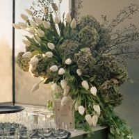 Hydrangea Large Stem With Leaves 75cm Green