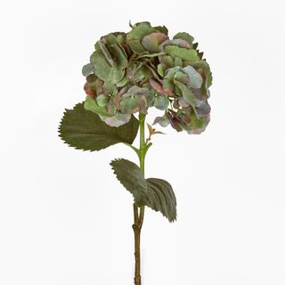 Hydrangea Large Stem With Leaves 75cm