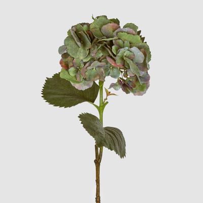 Hydrangea Large Stem With Leaves 75cm Green