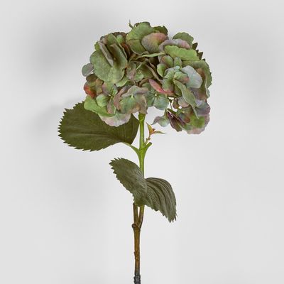 Hydrangea Large Stem With Leaves 75cm