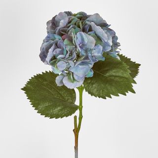 Hydrangea Large Stem With Leaves 75cm