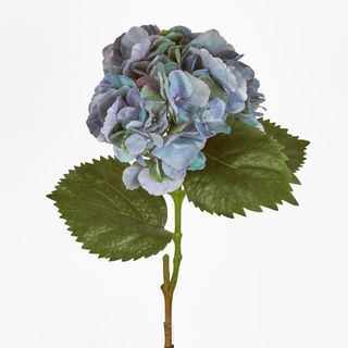 Hydrangea Large Stem With Leaves 75cm