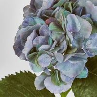 Hydrangea Large Stem With Leaves 75cm