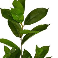 Glossy flat leaf Spray 100cm