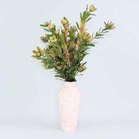 Leucadendron Spray Yellow 100CM