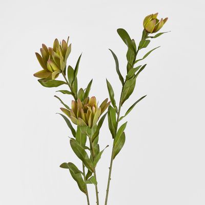 Leucadendron Spray Yellow 100CM