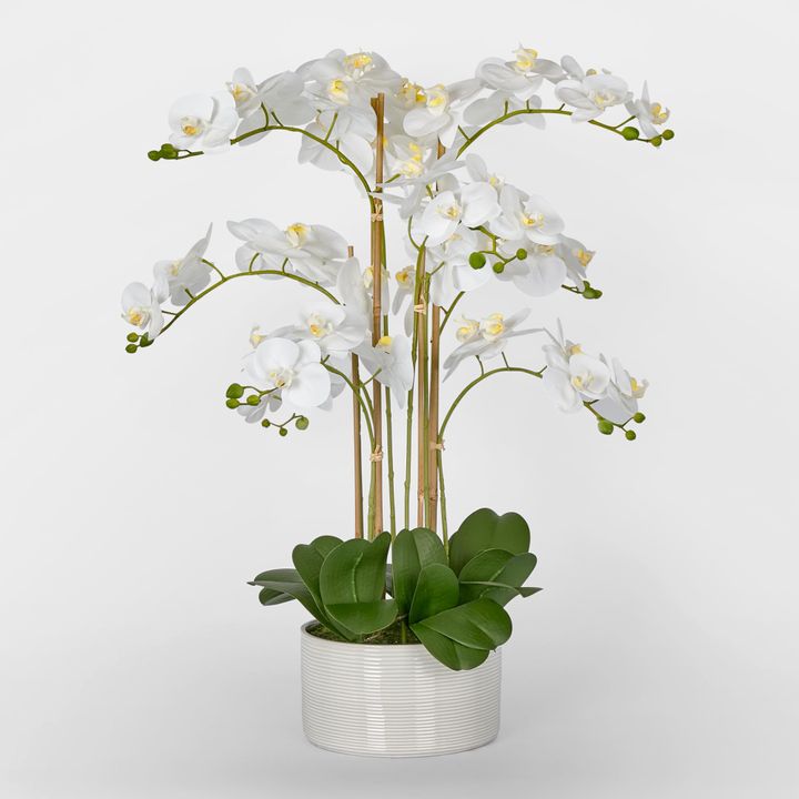 Luxe Phalaenopsis in Ribbed Bowl-9 Stems