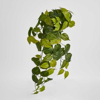 Hanging Philodendron Bush Real Touch