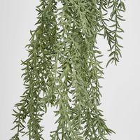 Rosemary Hanging greenery 107cm