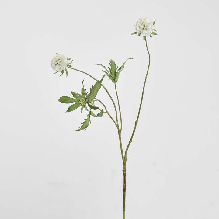 Scabiosa Spray 94cm