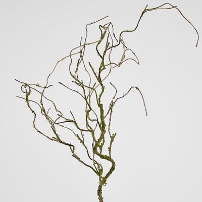 Twig Vine 109cm Dry Natural