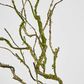 Twig Vine 109cm Dry Natural