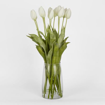 Tulip in Water Vase