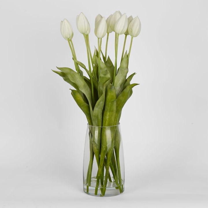 Tulip in Water Vase