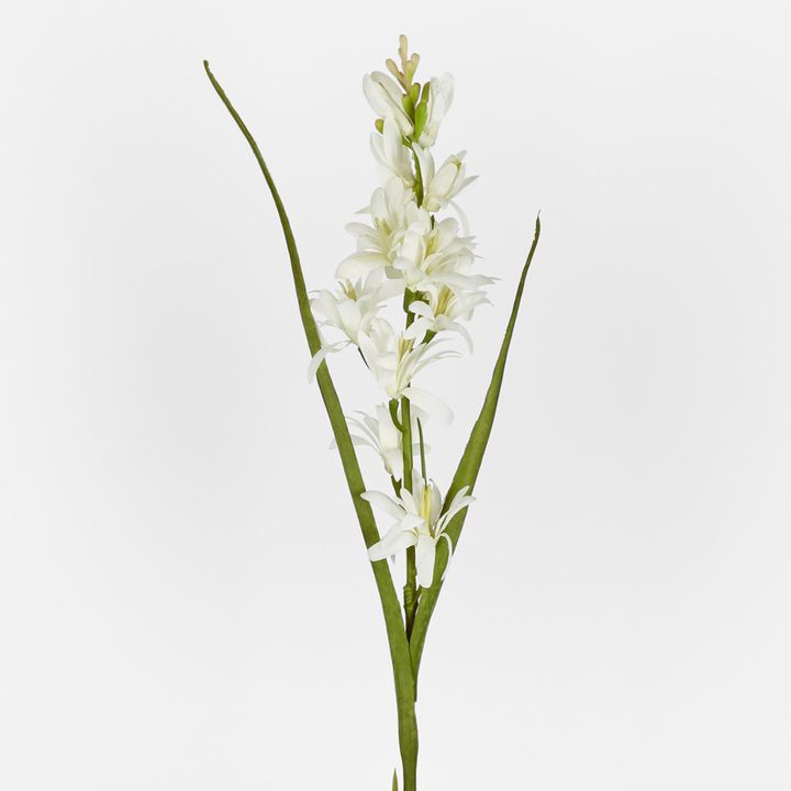 Tuberose 76cm