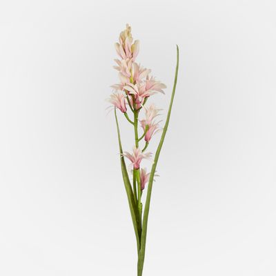 Tuberose Stem Pink 76cm