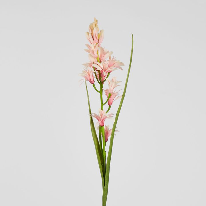 Tuberose Stem Pink 76cm