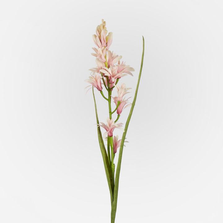 Tuberose Stem Pink 76cm