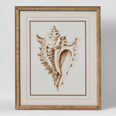 Conch Shell Wall Art A