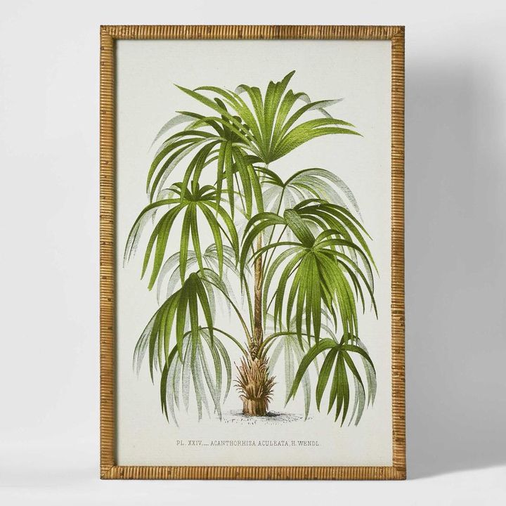 Palm Botanical Wall Art B