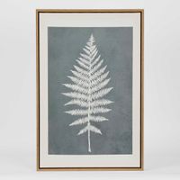 Ferns Wall Art Set 6